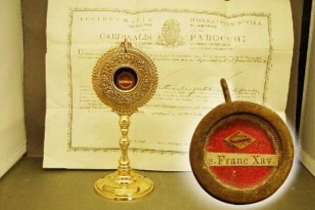 Own a relic of St Xavier for Rs 60,000, courtesy ebay