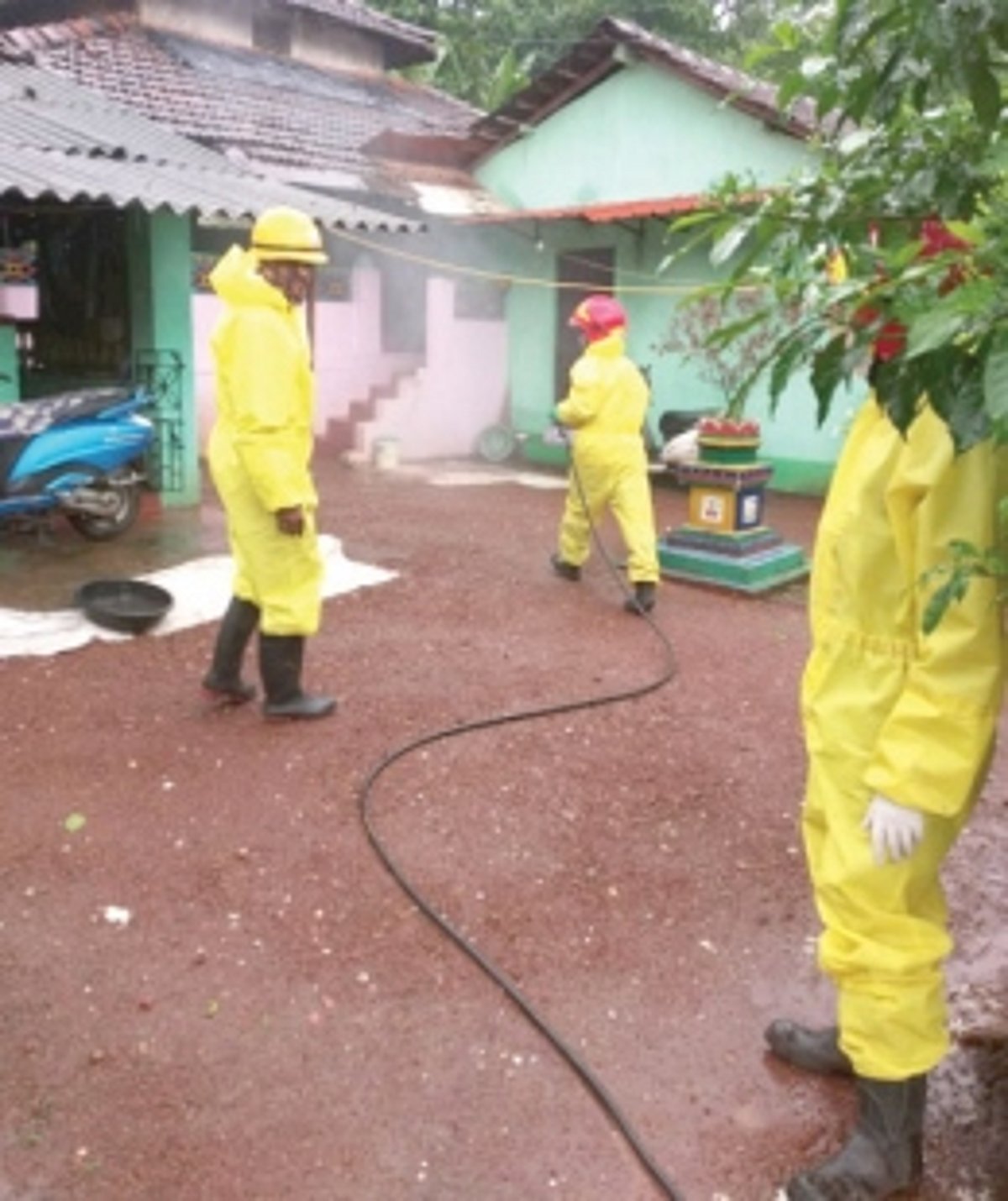 Ozari, Virnoda sanitised