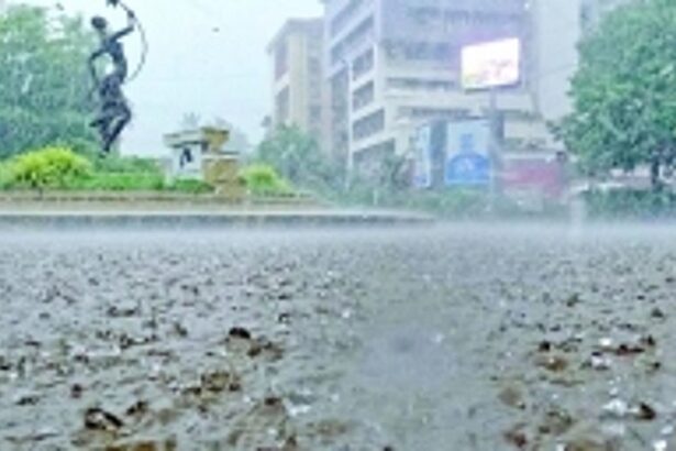 PANJIM SINKS, S**T FLOATS