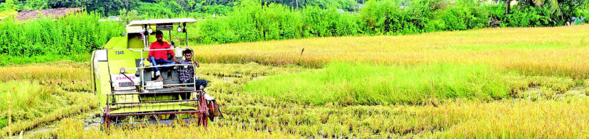 PAYING A HIGH (P)RICE 1 PAYING A HIGH (P)RICE