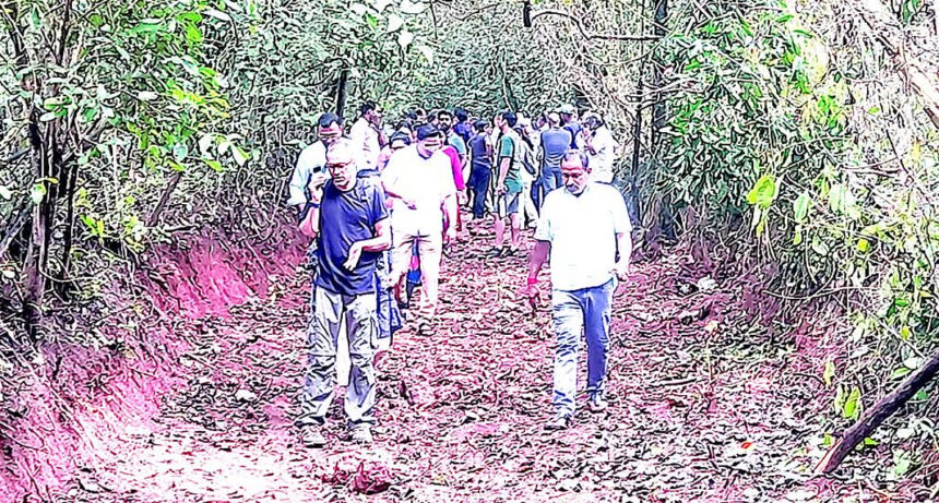 PEOPLE POWER: Villagers fume over destruction of private forest in Socorro 1 PEOPLE POWER: Villagers fume over destruction of private forest in Socorro
