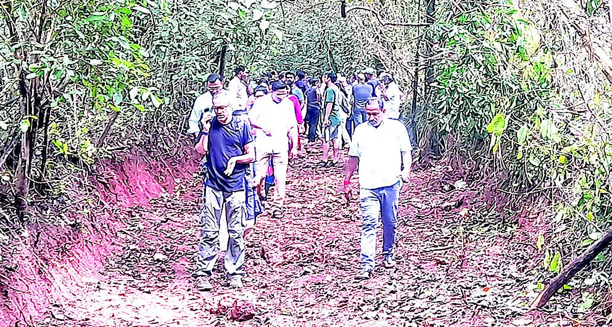 PEOPLE POWER: Villagers fume over destruction of private forest in Socorro