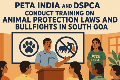 PETA India and DSPCA Conduct Training on Animal Protection Laws and Bullfights in South Goa