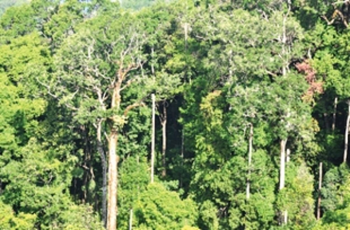 PIL in High Court challenges Tamnar project approvals