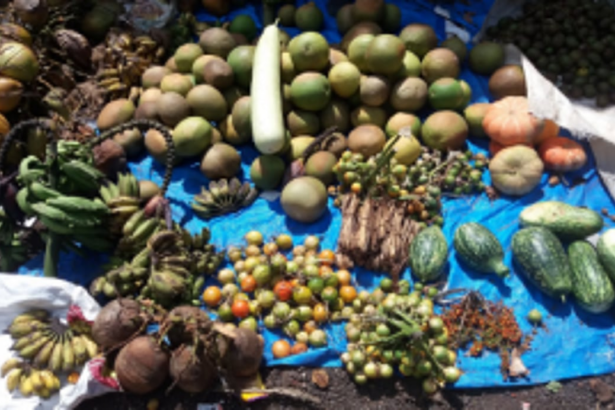 PMC staff charge exorbitant sopo, allege vendors; CO rejectes such charges