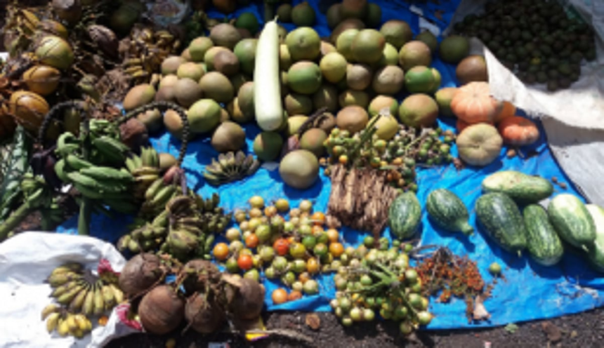PMC staff charge exorbitant sopo, allege vendors; CO rejectes such charges 1 PMC staff charge exorbitant sopo, allege vendors; CO rejectes such charges