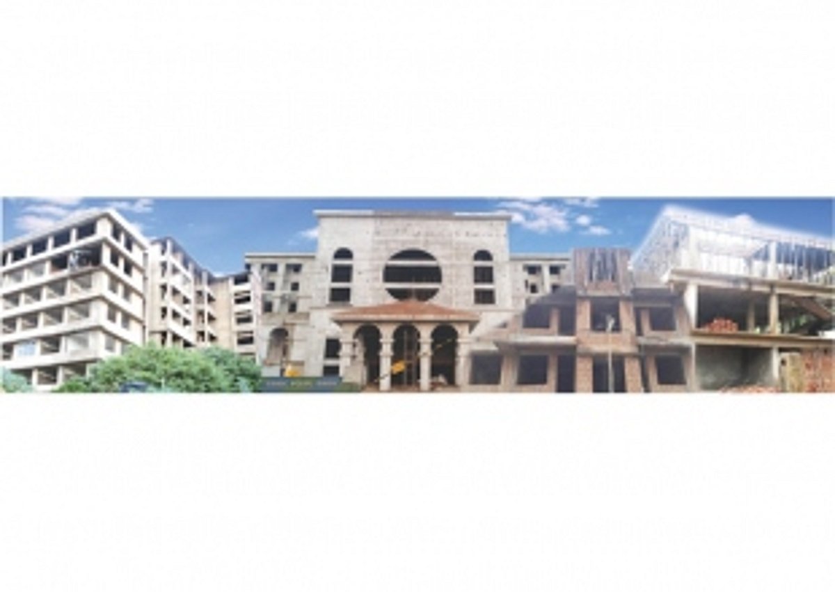 POLITICAL development authorities?