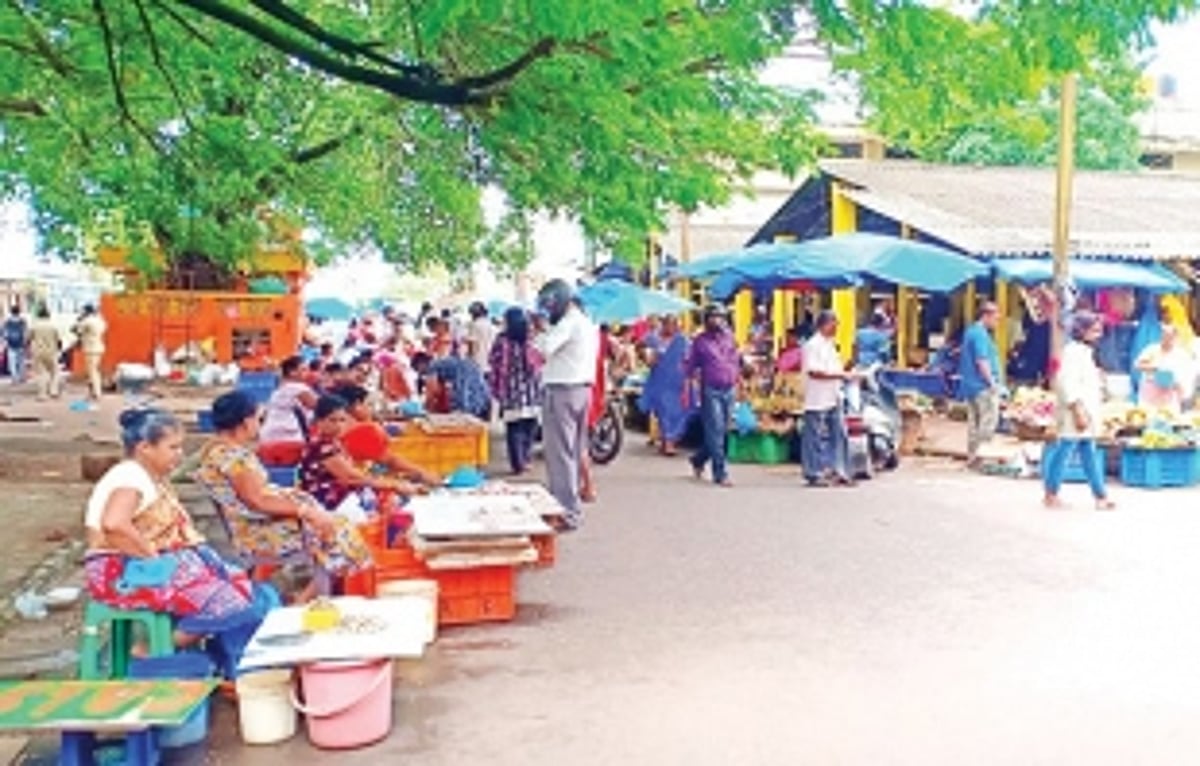 PORT TOWN’S 3 PROJECTS:  Vascokars  wait for their 7-year itch to end