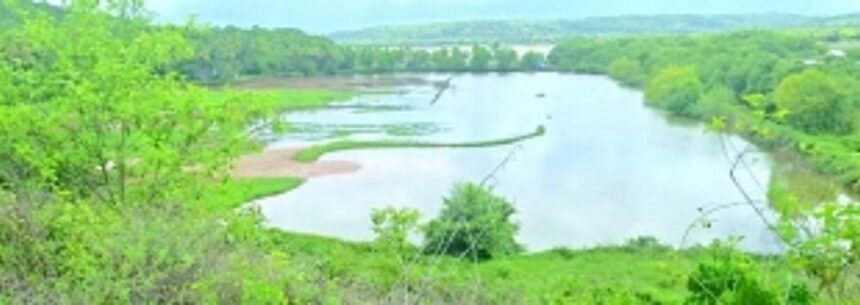 PWD draws up environmental plan to address farmers’ objection to new Borim bridge