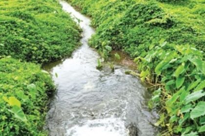 PWD yet to pay Rs 1.80 crore fines to pollution board, filth flow to Sal resume