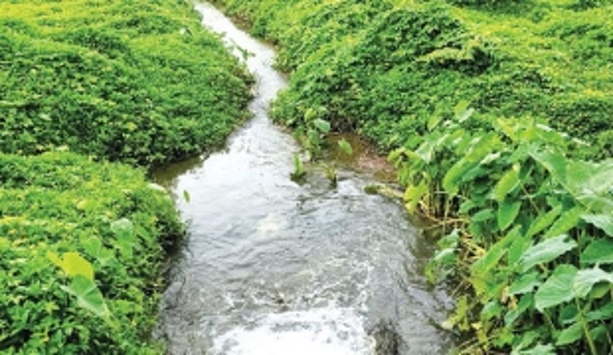 PWD yet to pay Rs 1.80 crore fines to pollution board, filth flow to Sal resume