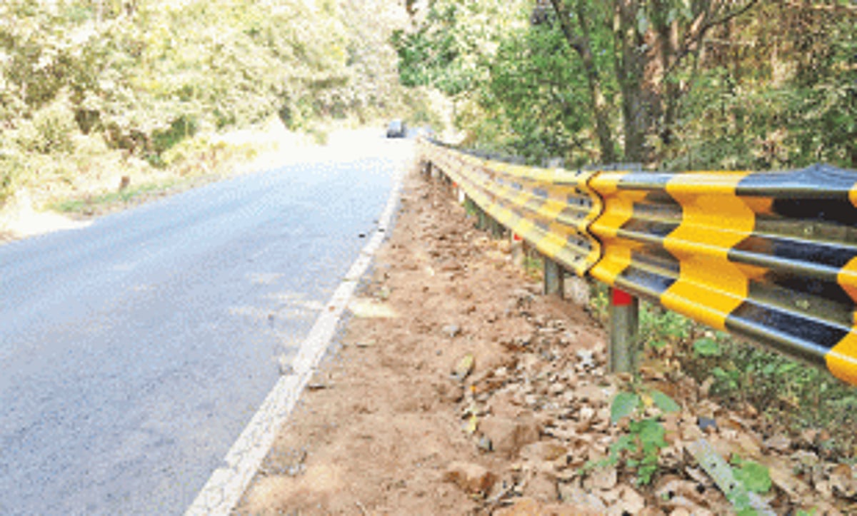 Painting of Karmalghat crash  barriers ‘causing air pollution’