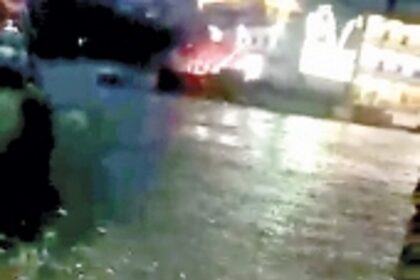 Palyekar to seek probe in fish washing ashore at Panjim ferry wharf