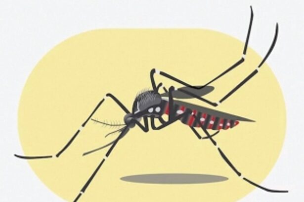 Panic in Rumdamol after  five-year-old dies due to dengue