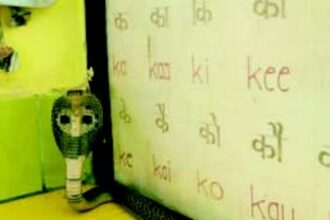 Panic spreads in Khede Savoi Verem GPS after snake enters classroom