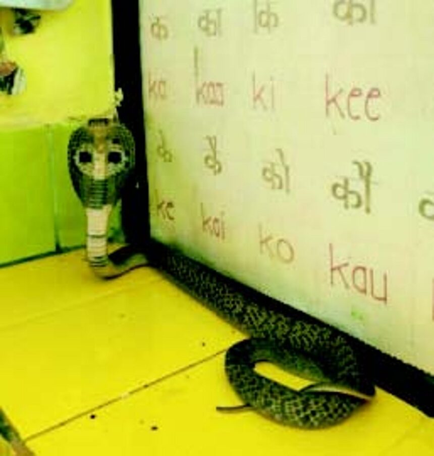 Panic spreads in Khede Savoi Verem GPS after snake enters classroom