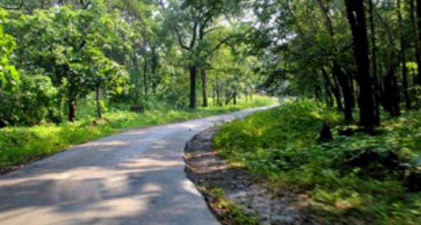 Panjim City losing its natural charm in greenery 1 Panjim City losing its natural charm in greenery