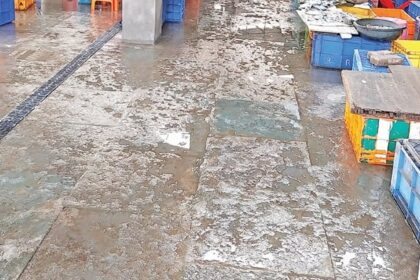 Panjim Fish Market's Slippery Floor Poses Safety Risk for Shoppers, Needs Urgent Fix