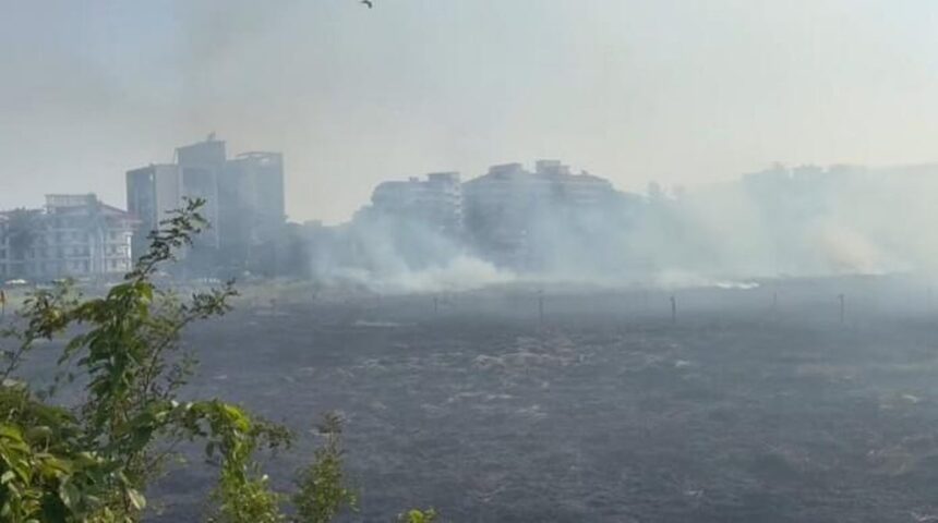 Panjim outskirts evacuated due to dry grass fire 1 Panjim outskirts evacuated due to dry grass fire