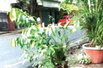 Panjim the cleanest city of Goa?