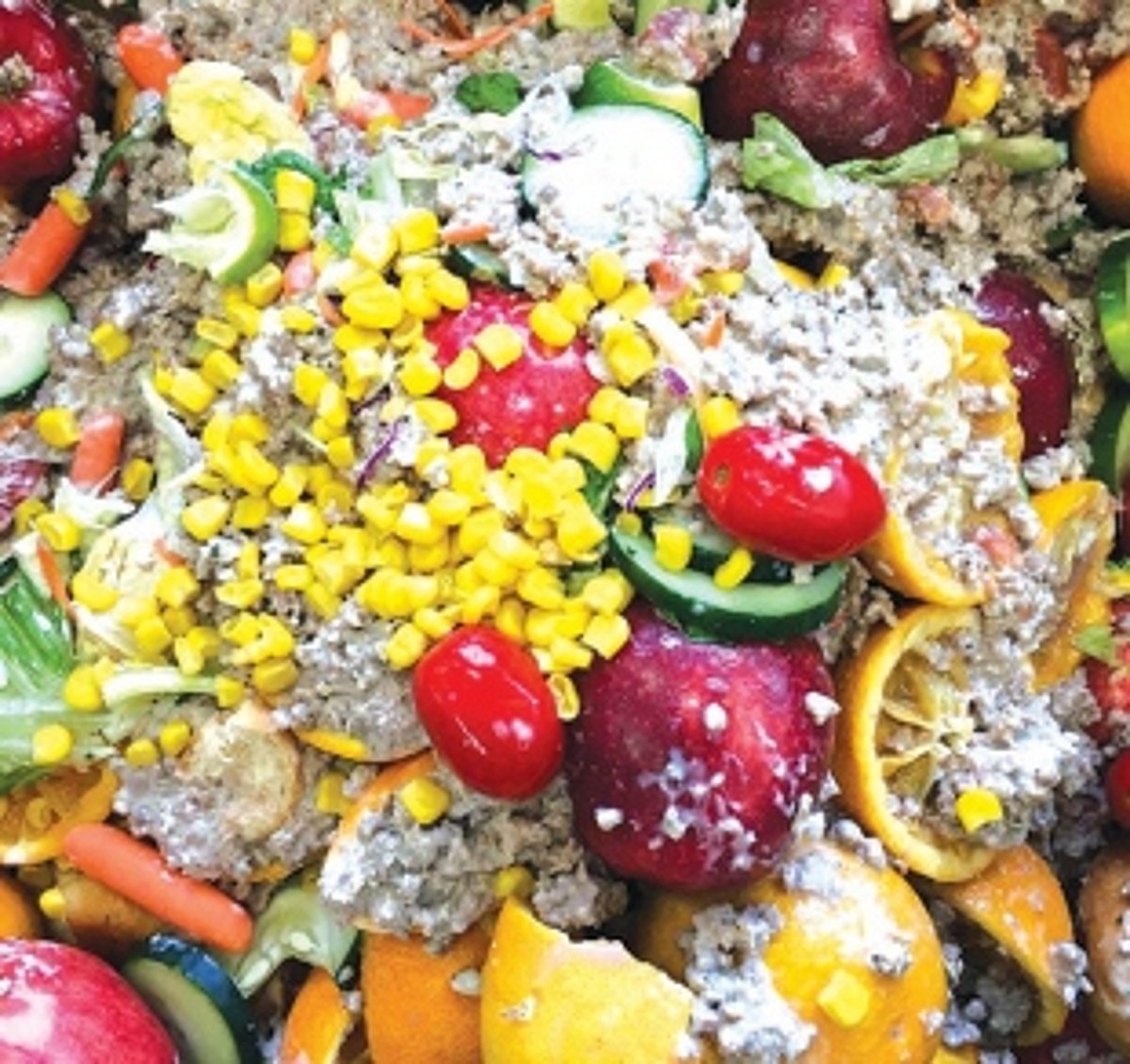 Panjim to stink again?