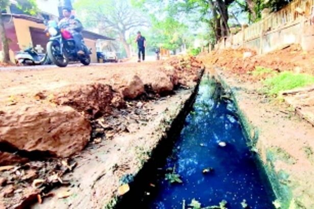 Panjim's chocked drain turns into fertile breeding ground for mosquitoe in Smart City