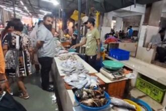 Panjim’s fish market serves Capital Stench for Smart City residents