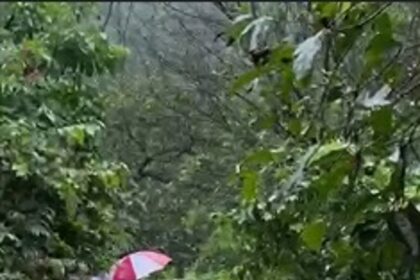 Parent say students and teachers should be praised for self-rescue, two Forest Guards helped them