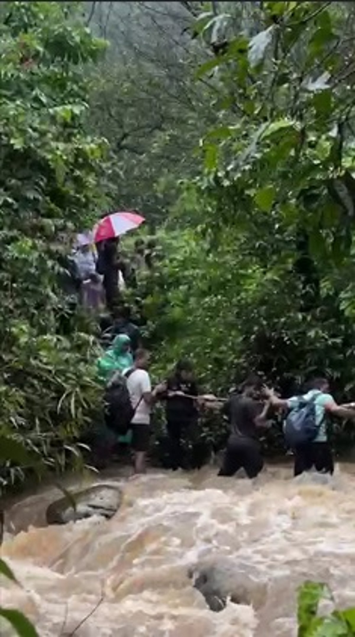 Parent say students and teachers should be praised for self-rescue, two Forest Guards helped them