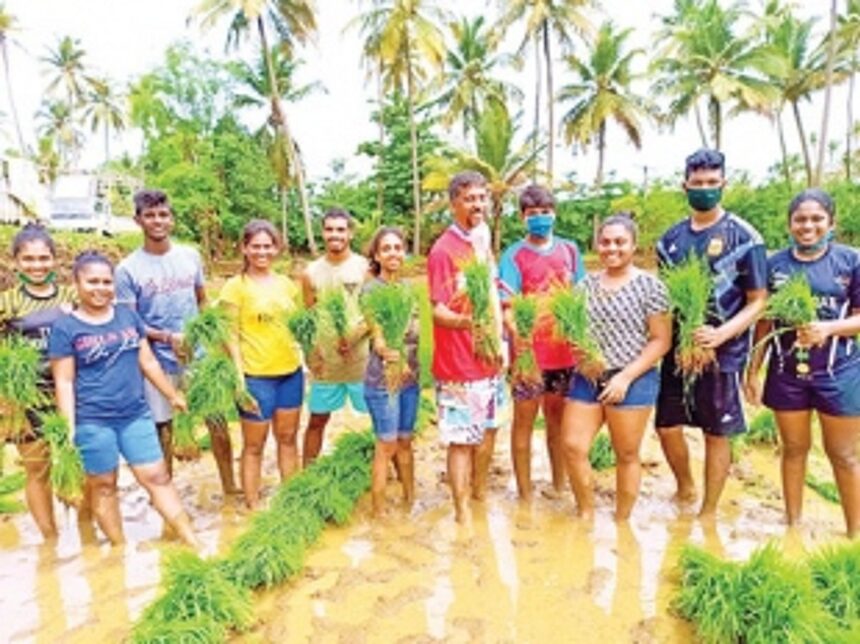 Parish priest leads Chicalim youth into paddy fields