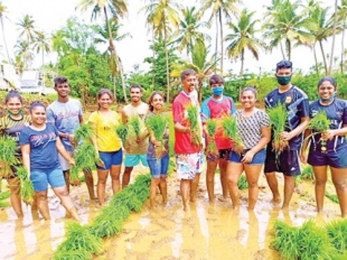 Parish priest leads Chicalim youth into paddy fields
