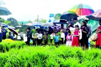 Parishioners, youth join hands to revive fallow land in Manora-Raia