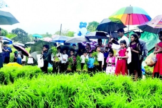 Parishioners, youth join hands to revive fallow land in Manora-Raia