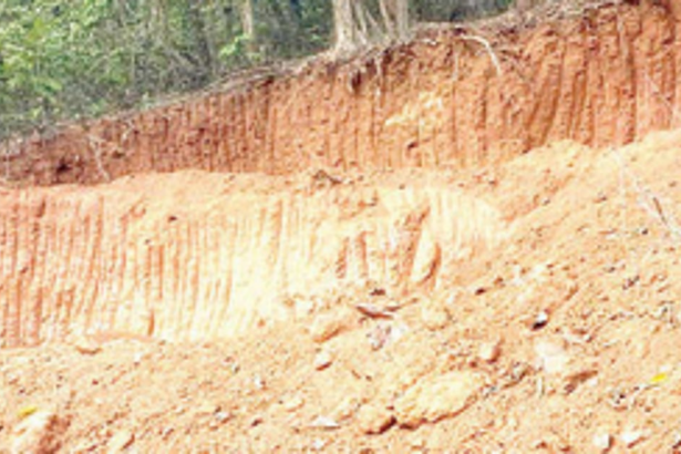 Paroda argues on 20 houses at ‘illegally cut’ hillock