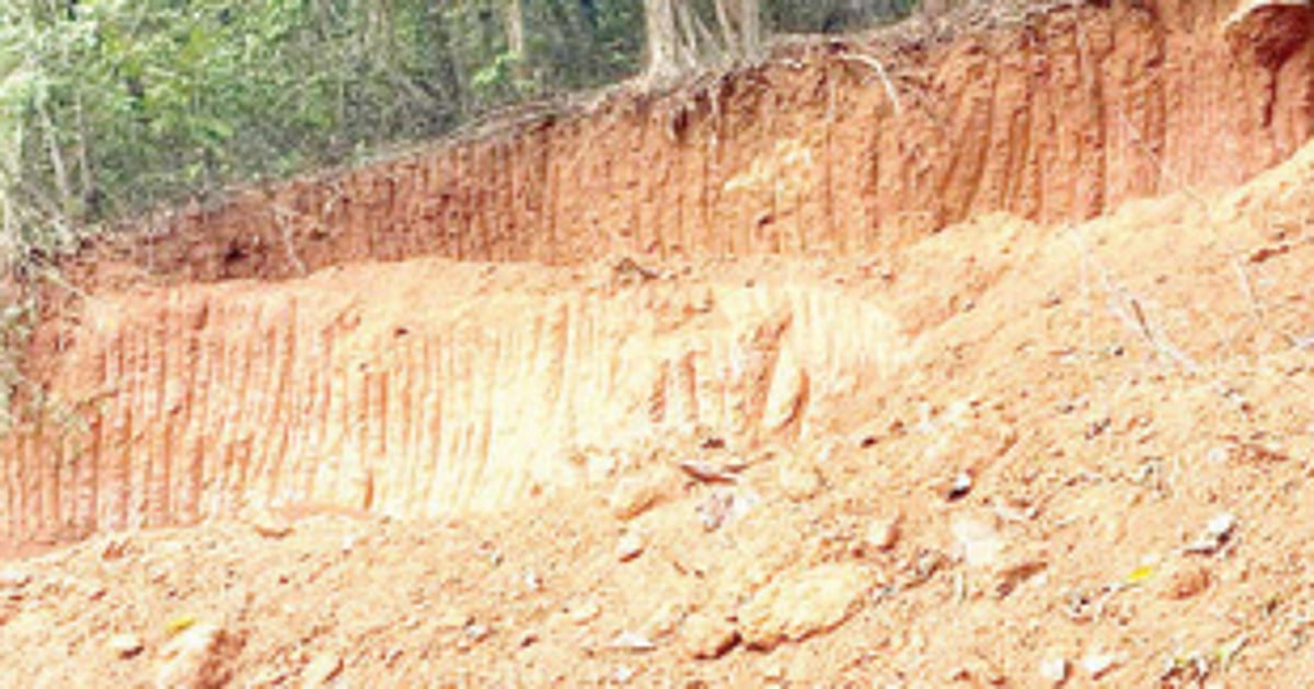 Paroda argues on 20 houses at ‘illegally cut’ hillock