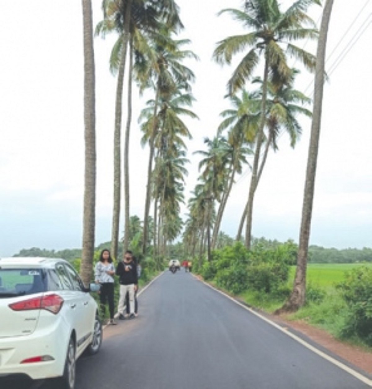 Parra & Arpora removed from PDA but  will TCP revoke permissions issued to builders?