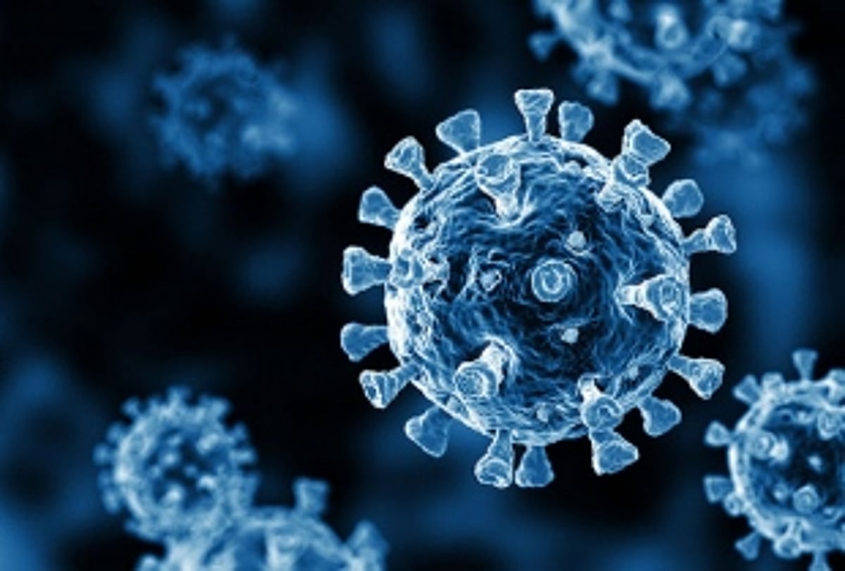 Part of Baina area declared Micro  Containment Zone