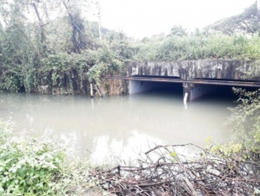 Parts of Salcete still under water, houses at Comba inundated