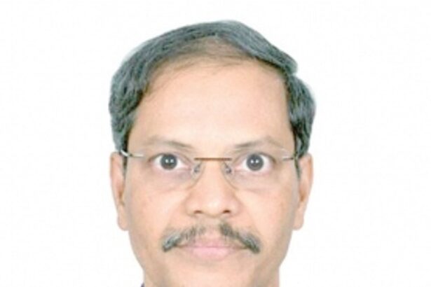Pasumarthy  is new IIT director