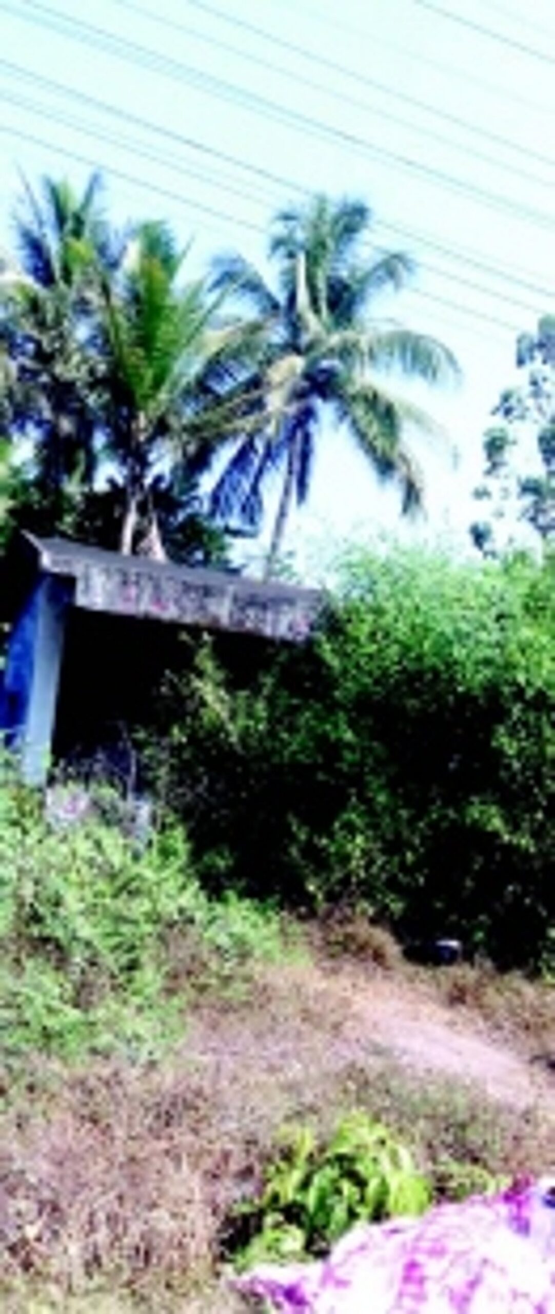 Pathetic Chandor bus stop shed