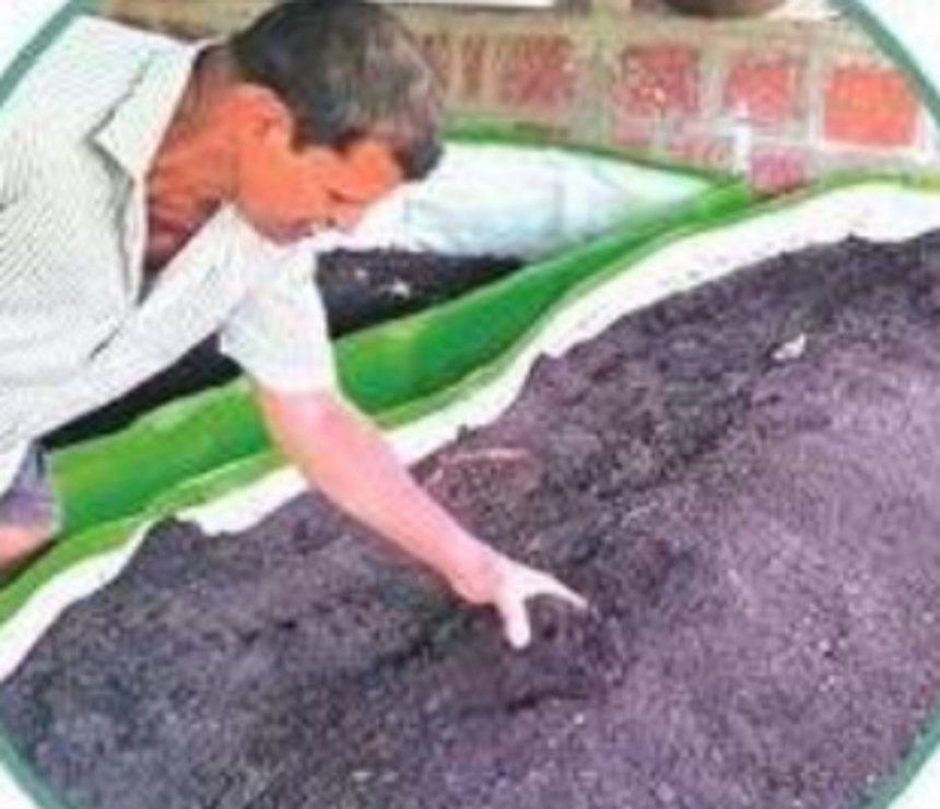 Patience, perseverance and thousands of earthworms: The secret behind Shekhar Parashtekar's thriving farm