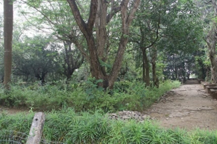 Patto garden facing govt neglect, in a shambles