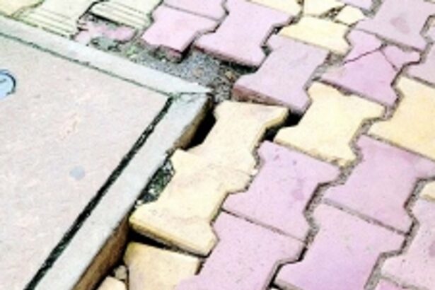 Pavers more of a bane than a boon