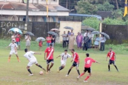 Pedda A blank Laxette