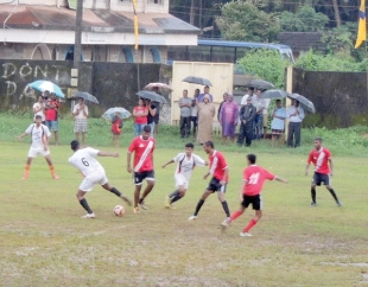 Pedda A blank Laxette