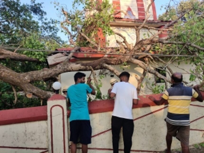 Peepal tree comes crashing down on Shri Sateri Temple, Corjuem; 1 Peepal tree comes crashing down on Shri Sateri Temple, Corjuem;