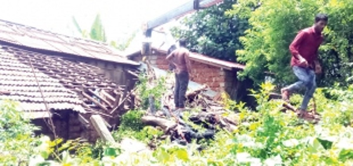 Peepal tree falls on house at Ponda