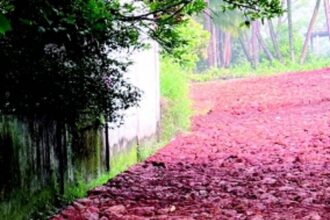 Penalise those violating NDZ rules