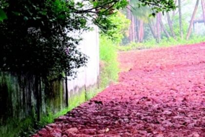 Penalise those violating NDZ rules