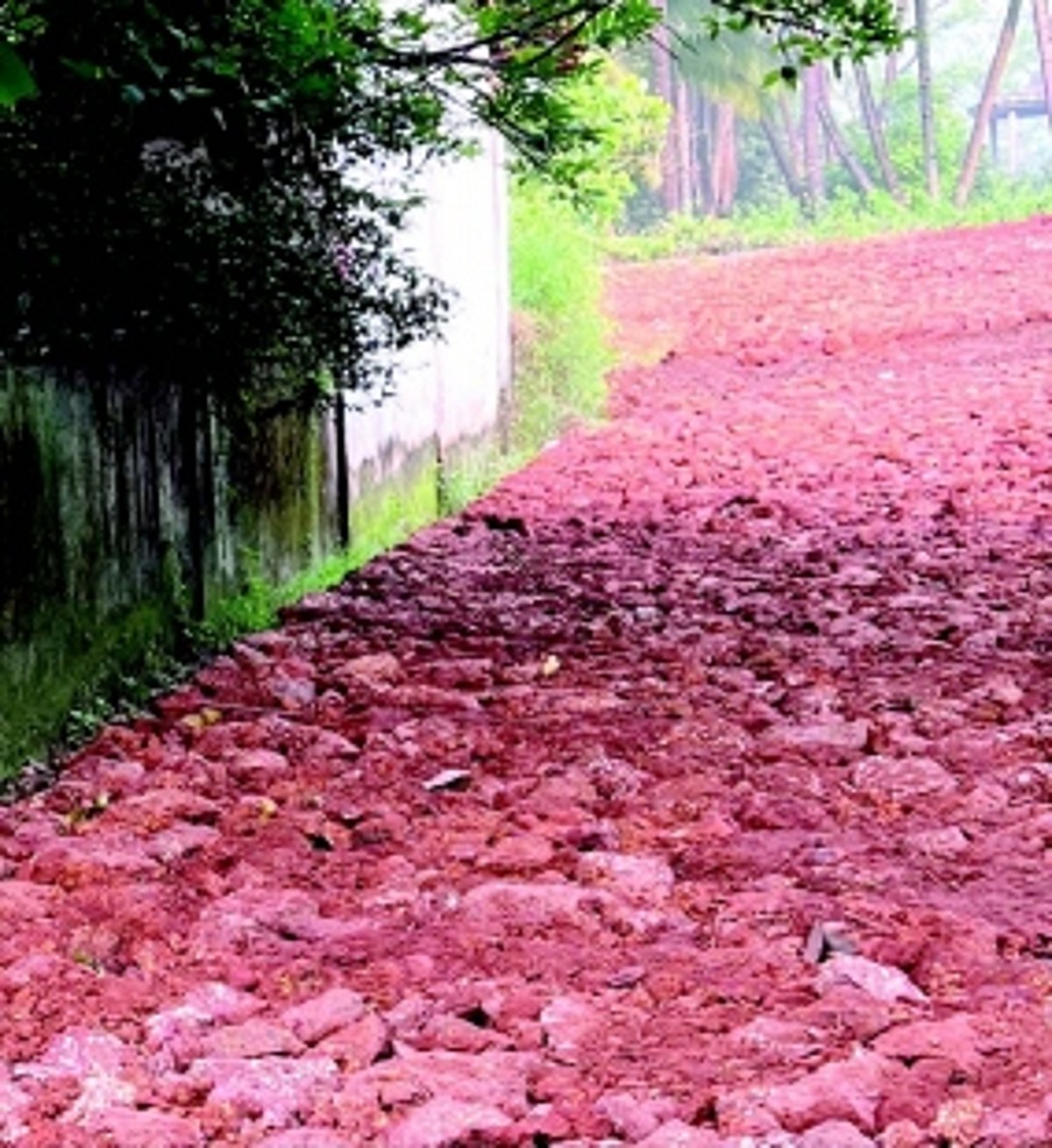 Penalise those violating NDZ rules